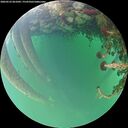 ./images/calvert/underwater/20260523/underwater20260523_061001M.jpg