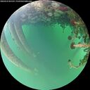 ./images/calvert/underwater/20260523/underwater20260523_061501M.jpg