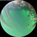 ./images/calvert/underwater/20260523/underwater20260523_063501M.jpg