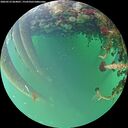 ./images/calvert/underwater/20260523/underwater20260523_064001M.jpg
