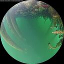 ./images/calvert/underwater/20260523/underwater20260523_064501M.jpg
