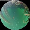 ./images/calvert/underwater/20260523/underwater20260523_065002M.jpg