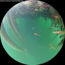 ./images/calvert/underwater/20260523/underwater20260523_065501M.jpg