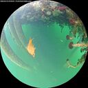 ./images/calvert/underwater/20260523/underwater20260523_070501M.jpg