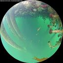 ./images/calvert/underwater/20260523/underwater20260523_071501M.jpg