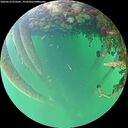 ./images/calvert/underwater/20260523/underwater20260523_073501M.jpg