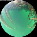 ./images/calvert/underwater/20260523/underwater20260523_074001M.jpg