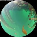 ./images/calvert/underwater/20260523/underwater20260523_075002M.jpg