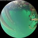 ./images/calvert/underwater/20260523/underwater20260523_075501M.jpg