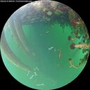 ./images/calvert/underwater/20260523/underwater20260523_080501M.jpg