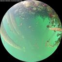 ./images/calvert/underwater/20260523/underwater20260523_082001M.jpg