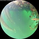 ./images/calvert/underwater/20260523/underwater20260523_082501M.jpg
