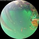 ./images/calvert/underwater/20260523/underwater20260523_083001M.jpg
