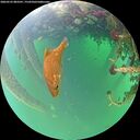 ./images/calvert/underwater/20260523/underwater20260523_083501M.jpg
