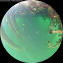 ./images/calvert/underwater/20260523/underwater20260523_084001M.jpg