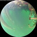 ./images/calvert/underwater/20260523/underwater20260523_084502M.jpg