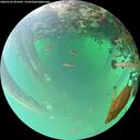 ./images/calvert/underwater/20260523/underwater20260523_093501M.jpg