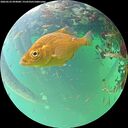 ./images/calvert/underwater/20260523/underwater20260523_094001M.jpg
