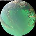 ./images/calvert/underwater/20260523/underwater20260523_094501M.jpg