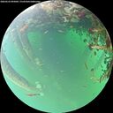 ./images/calvert/underwater/20260523/underwater20260523_095001M.jpg