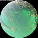 ./images/calvert/underwater/20260523/underwater20260523_095501M.jpg