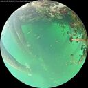 ./images/calvert/underwater/20260523/underwater20260523_102001M.jpg