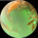 ./images/calvert/underwater/20260523/underwater20260523_105501M.jpg