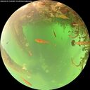 ./images/calvert/underwater/20260523/underwater20260523_110501M.jpg