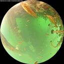 ./images/calvert/underwater/20260523/underwater20260523_111001M.jpg
