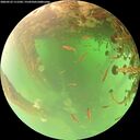 ./images/calvert/underwater/20260523/underwater20260523_111502M.jpg
