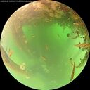 ./images/calvert/underwater/20260523/underwater20260523_112502M.jpg