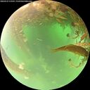 ./images/calvert/underwater/20260523/underwater20260523_113501M.jpg