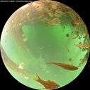 ./images/calvert/underwater/20260523/underwater20260523_114001M.jpg