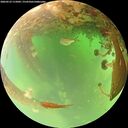 ./images/calvert/underwater/20260523/underwater20260523_115002M.jpg