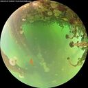 ./images/calvert/underwater/20260523/underwater20260523_130001M.jpg