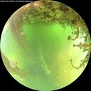 ./images/calvert/underwater/20260523/underwater20260523_130501M.jpg
