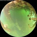 ./images/calvert/underwater/20260523/underwater20260523_131501M.jpg