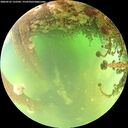 ./images/calvert/underwater/20260523/underwater20260523_132501M.jpg