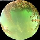 ./images/calvert/underwater/20260523/underwater20260523_133501M.jpg