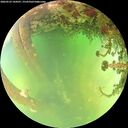 ./images/calvert/underwater/20260523/underwater20260523_144501M.jpg