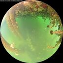 ./images/calvert/underwater/20260523/underwater20260523_145002M.jpg