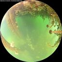 ./images/calvert/underwater/20260523/underwater20260523_145501M.jpg