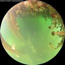 ./images/calvert/underwater/20260523/underwater20260523_150501M.jpg