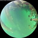 ./images/calvert/underwater/20260523/underwater20260523_161001M.jpg