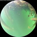 ./images/calvert/underwater/20260523/underwater20260523_172501M.jpg