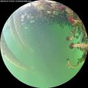 ./images/calvert/underwater/20260523/underwater20260523_175501M.jpg