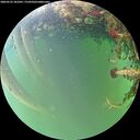 ./images/calvert/underwater/20260523/underwater20260523_181001M.jpg