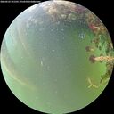 ./images/calvert/underwater/20260523/underwater20260523_191501M.jpg