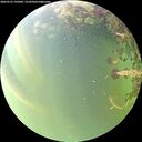 ./images/calvert/underwater/20260523/underwater20260523_192001M.jpg
