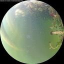 ./images/calvert/underwater/20260523/underwater20260523_193501M.jpg